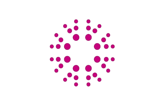 Organization 3